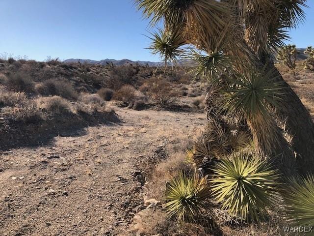 LOT301 W Sarari Dr, Meadview AZ, 86444 land for sale