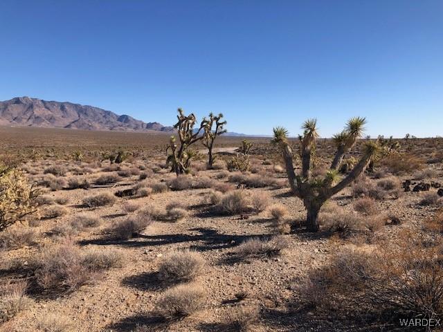 Listing photo 3 for LOT301 W Sarari Dr, Meadview AZ 86444