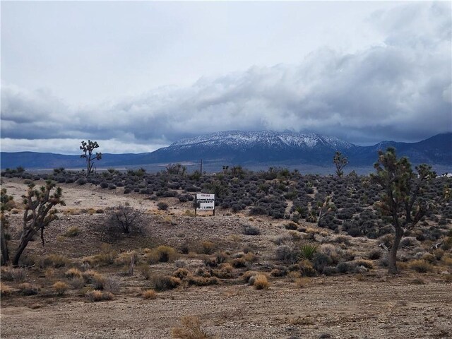 27250 N Pierce Ferry Rd, Meadview, AZ 86444 - photo 7