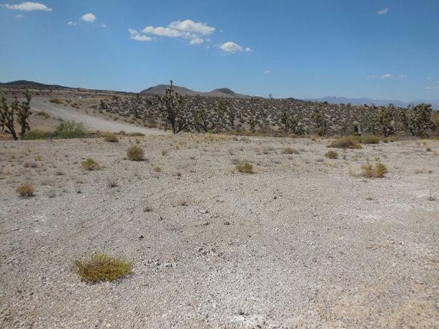27250 N Pierce Ferry Rd, Meadview, AZ 86444 - photo 11