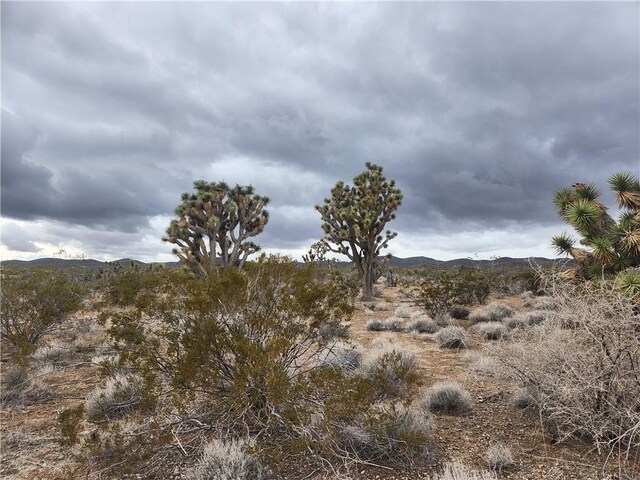 27250 N Pierce Ferry Rd, Meadview, AZ 86444 - photo 15