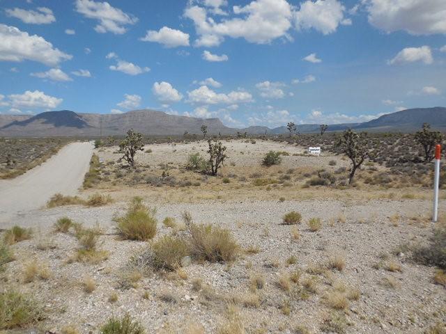 27250 N Pierce Ferry Rd, Meadview, AZ 86444 - photo 8