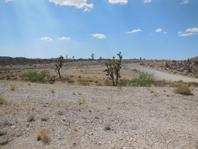 27250 N Pierce Ferry Rd, Meadview, AZ 86444 - photo 5