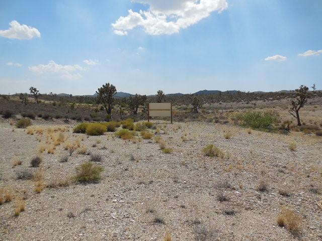 27250 N Pierce Ferry Rd, Meadview, AZ 86444 - photo 10