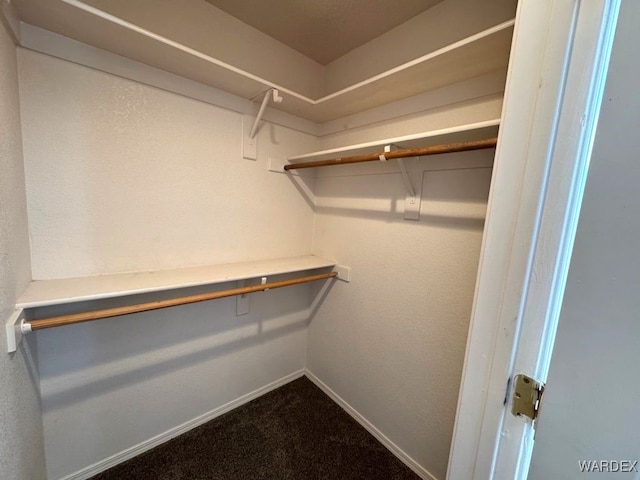 spacious closet with dark carpet