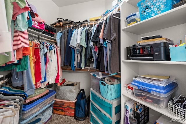 spacious closet featuring carpet floors