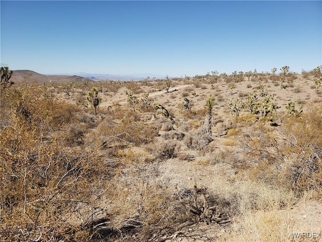 21103 N Madera Dr, White Hills AZ, 86445 land for sale