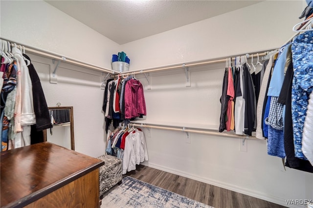 walk in closet featuring dark wood-style floors