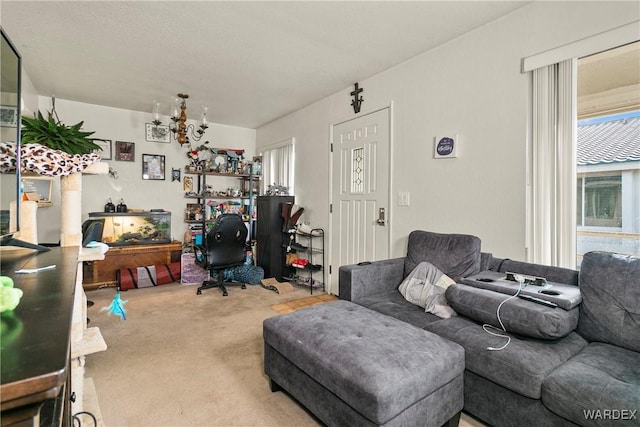 living area featuring carpet floors