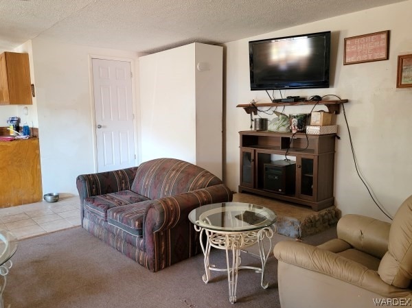 living area featuring a textured ceiling and light colored carpet