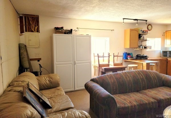 living room with light carpet and a textured ceiling