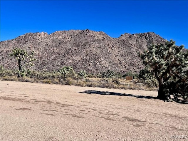 11658 S Sherry Rd, Yucca, AZ 86438 - photo 29
