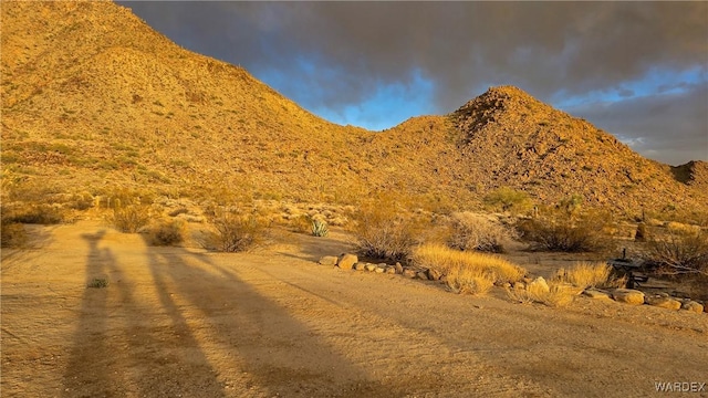 11658 S Sherry Rd, Yucca, AZ 86438 - photo 30