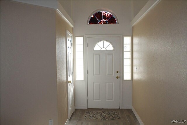 foyer featuring plenty of natural light, wood finished floors, and baseboards