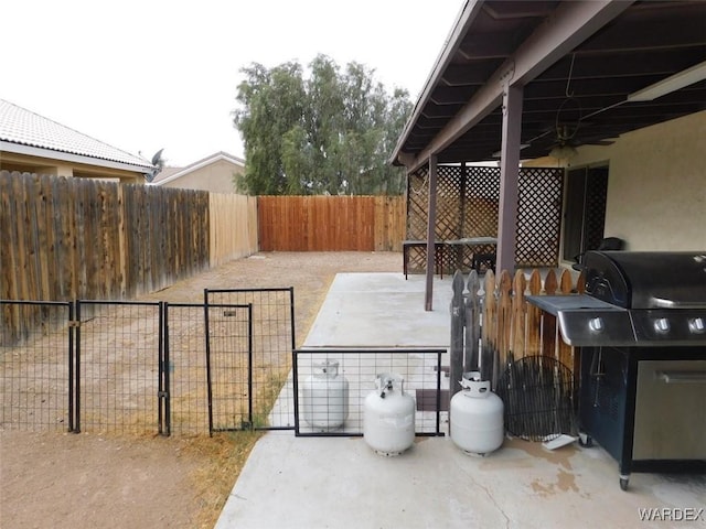 exterior space featuring a fenced backyard and area for grilling