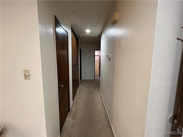 hall featuring a textured wall and carpet flooring