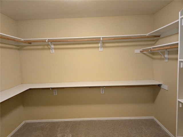 3836 Heather Ave, Kingman, AZ 86401 - walk in closet with carpet flooring
