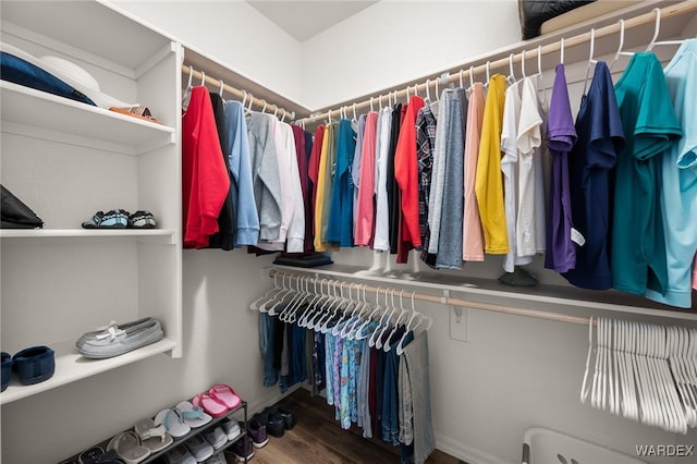 walk in closet featuring wood finished floors