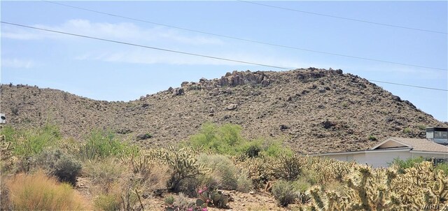00 Cactus Dr, Golden Valley, AZ 86413 - photo 12