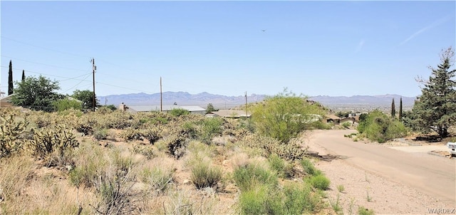 00 Cactus Dr, Golden Valley, AZ 86413 - photo 13