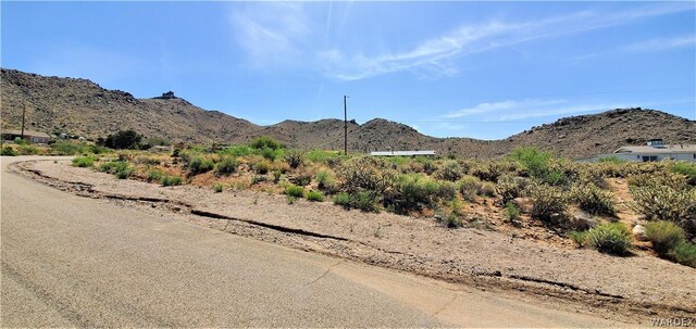 00 Cactus Dr, Golden Valley, AZ 86413 - photo 7
