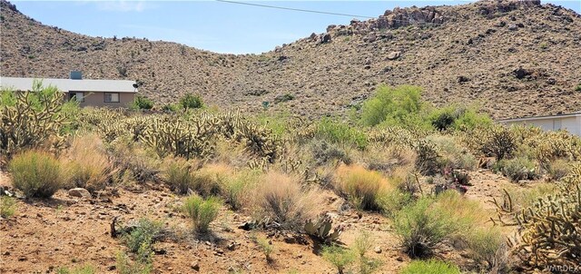 00 Cactus Dr, Golden Valley, AZ 86413 - photo 4