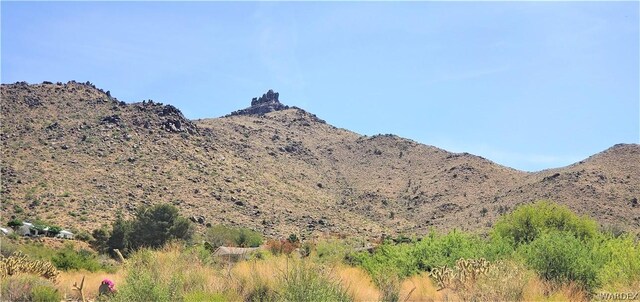 00 Cactus Dr, Golden Valley, AZ 86413 - photo 10