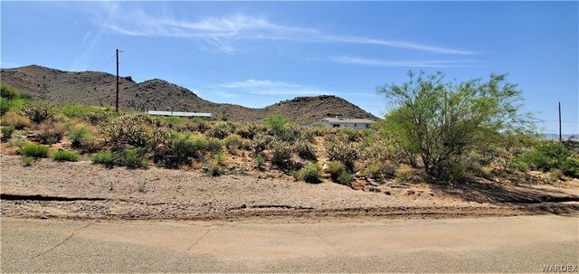 00 Cactus Dr, Golden Valley, AZ 86413 - photo 6