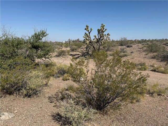 8124 Rio Vista Dr, White Hills, AZ 86445 - photo 8