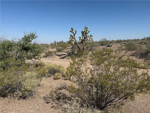 8124 Rio Vista Dr, White Hills, AZ 86445 - photo 2