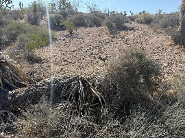 8124 Rio Vista Dr, White Hills, AZ 86445 - photo 10