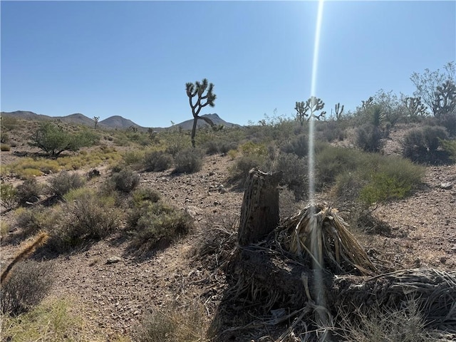 8124 Rio Vista Dr, White Hills, AZ 86445 - photo 6