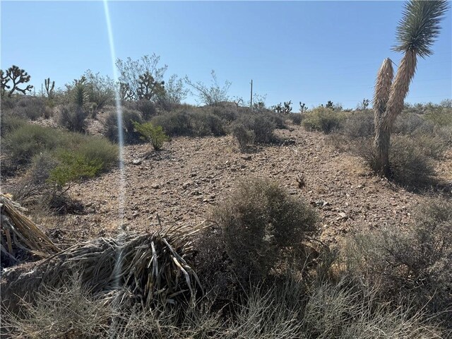 8124 Rio Vista Dr, White Hills, AZ 86445 - photo 5