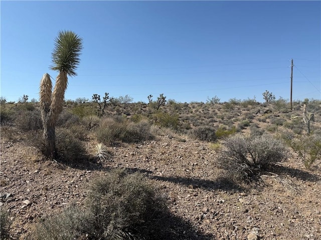 8124 Rio Vista Dr, White Hills, AZ 86445 - photo 3