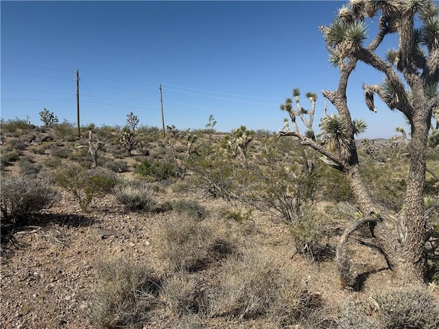 8124 Rio Vista Dr, White Hills, AZ 86445 - photo 1