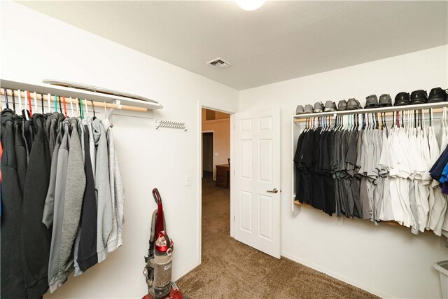 3048 Mallory Loop, Kingman, AZ 86401 - walk in closet with carpet floors