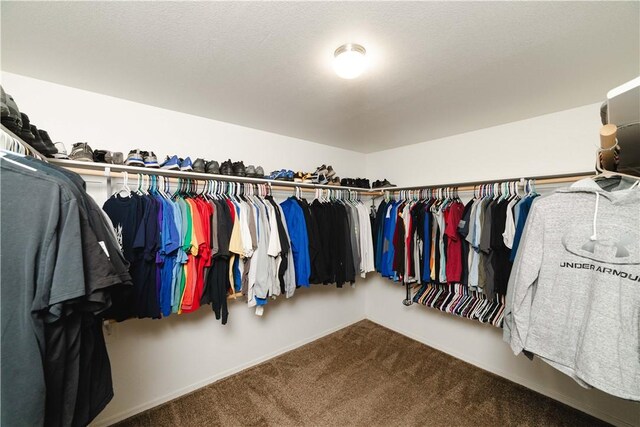 3048 Mallory Loop, Kingman, AZ 86401 - spacious closet with carpet floors