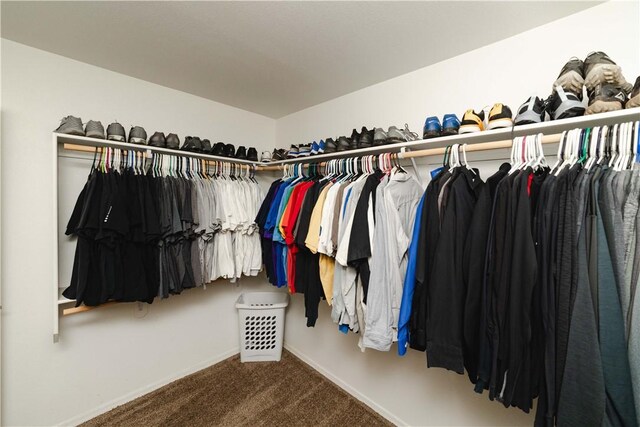 3048 Mallory Loop, Kingman, AZ 86401 - spacious closet with carpet floors