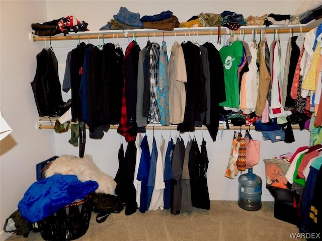 spacious closet with carpet flooring