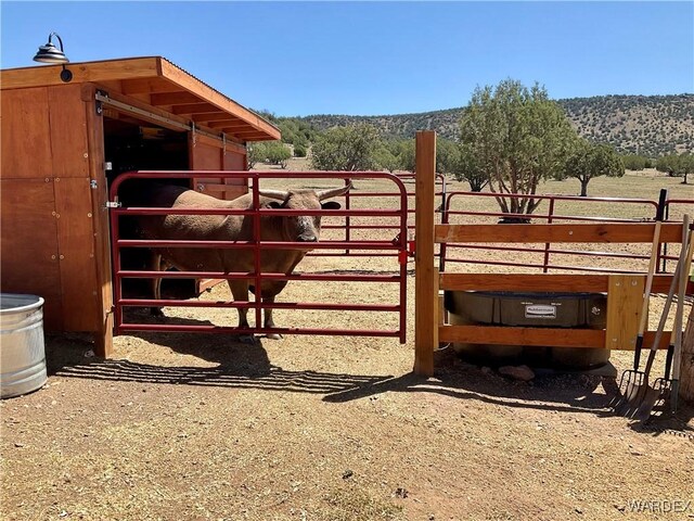 299 Markham Pass Unit 299, Seligman, AZ 86337 - photo 10