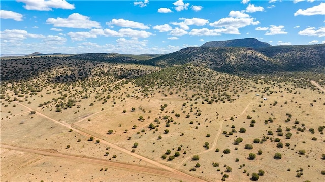 299 Markham Pass Unit 299, Seligman, AZ 86337 - photo 34