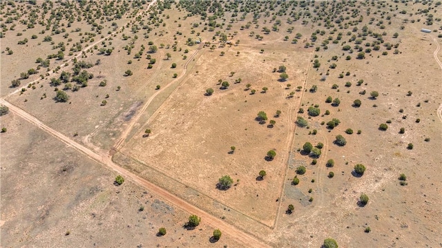 299 Markham Pass Unit 299, Seligman, AZ 86337 - photo 35