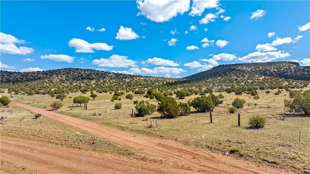 299 Markham Pass Unit 299, Seligman, AZ 86337 - photo 32