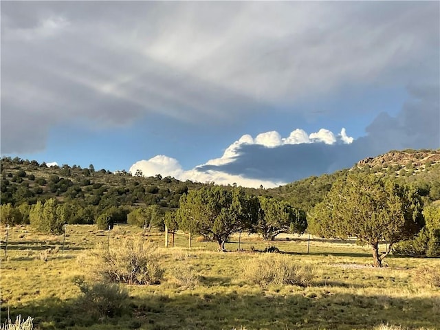 299 Markham Pass Unit 299, Seligman, AZ 86337 - photo 28