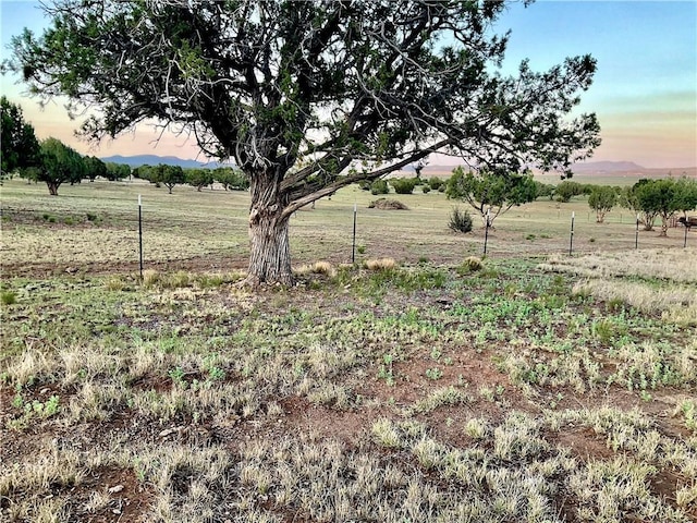 299 Markham Pass Unit 299, Seligman, AZ 86337 - photo 17