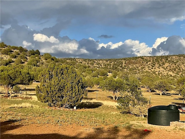 299 Markham Pass Unit 299, Seligman, AZ 86337 - photo 27