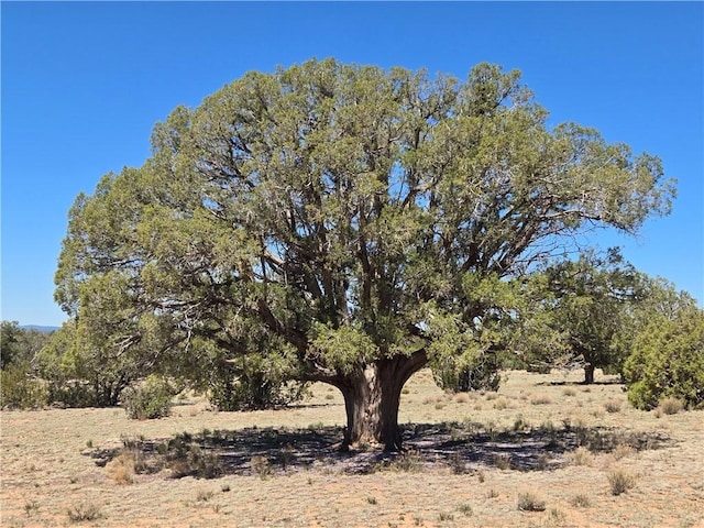 299 Markham Pass Unit 299, Seligman, AZ 86337 - photo 30