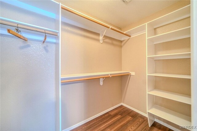 spacious closet with dark wood-style flooring