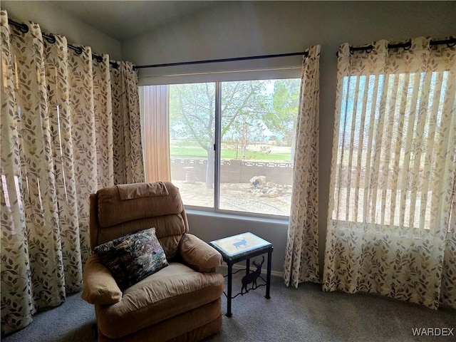 sitting room with lofted ceiling and carpet