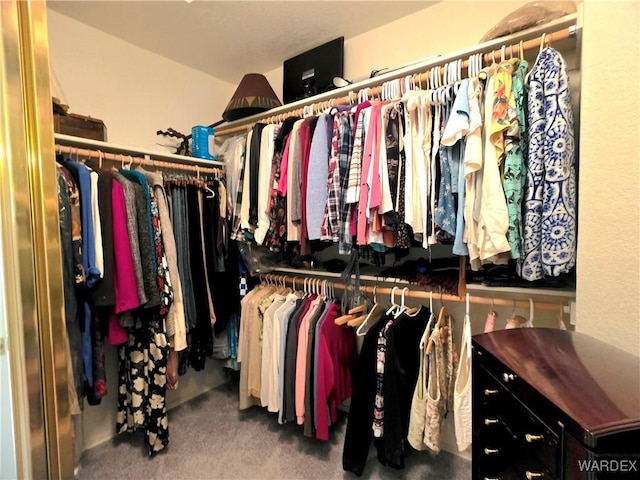 spacious closet with carpet floors